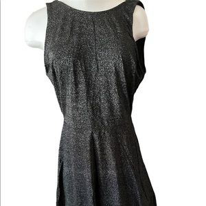 Divided Flare Dress (Silver & Black)
